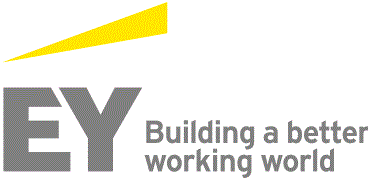 Ernst And Young India Private Limited Delhi Delhi Company Overview